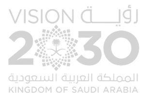 Saudi Vision 2030